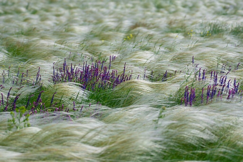 ESG News regarding Equinor wind farm project to resume in US, Blue Earth Capital raises $100 million, Google Signs Major 1.2 GW Carbon-Free Energy Deal, and US to Finalize 2026 Biofuel Quotas by March