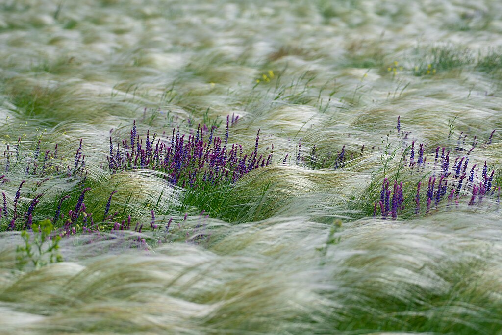 ESG News regarding Equinor wind farm project to resume in US, Blue Earth Capital raises $100 million, Google Signs Major 1.2 GW Carbon-Free Energy Deal, and US to Finalize 2026 Biofuel Quotas by March