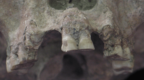 How Migration Made the Human World