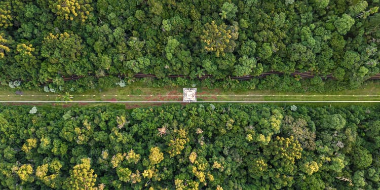 ESG News regarding Brazil’s battery boom, Europe and UK sign clean energy security Hamburg Declaration, California suing Trump administration, and 200MW plant opening in Burkina Faso