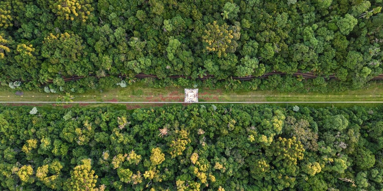 ESG News regarding Brazil’s battery boom, Europe and UK sign clean energy security Hamburg Declaration, California suing Trump administration, and 200MW plant opening in Burkina Faso