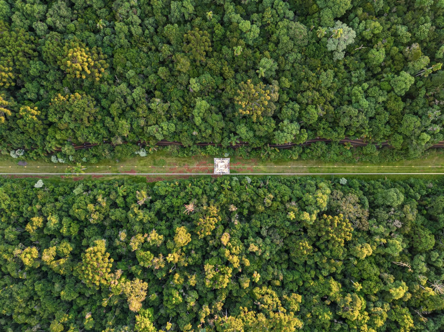 ESG News regarding Brazil’s battery boom, Europe and UK sign clean energy security Hamburg Declaration, California suing Trump administration, and 200MW plant opening in Burkina Faso