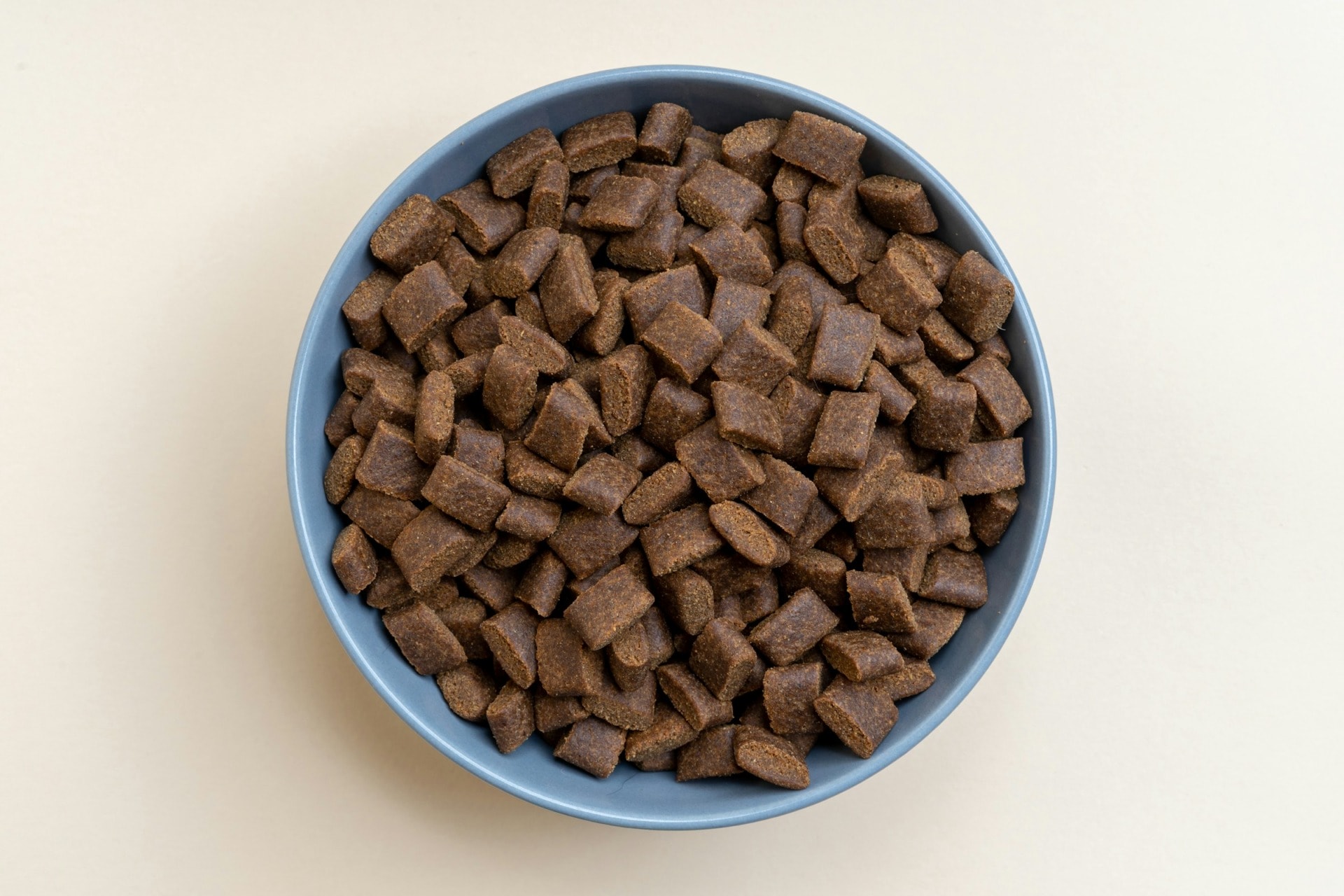 News regarding the environmental impact of dog food