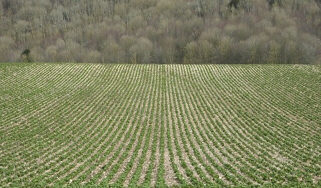 Aerial view of U.S. farmland using regenerative agriculture practices to generate soil carbon credits