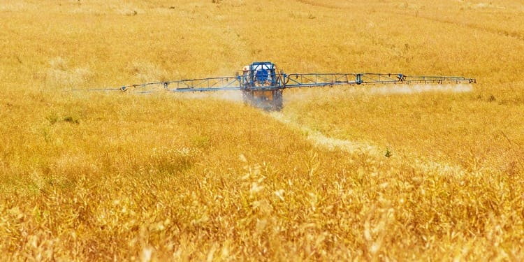 Why Glyphosate, the World’s Most Widely Used and Sued Herbicide, Is Under New Scrutiny