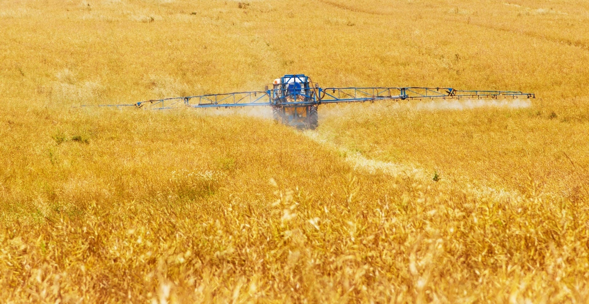 Why Glyphosate, the World’s Most Widely Used and Sued Herbicide, Is Under New Scrutiny