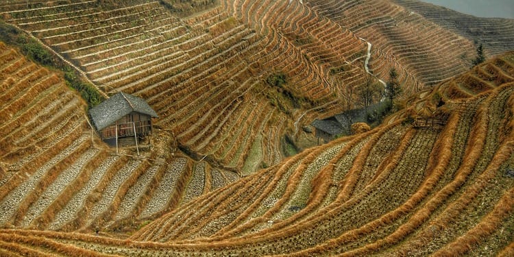 Why WTO Rules on Domestic Support Matter for Least Developed Countries