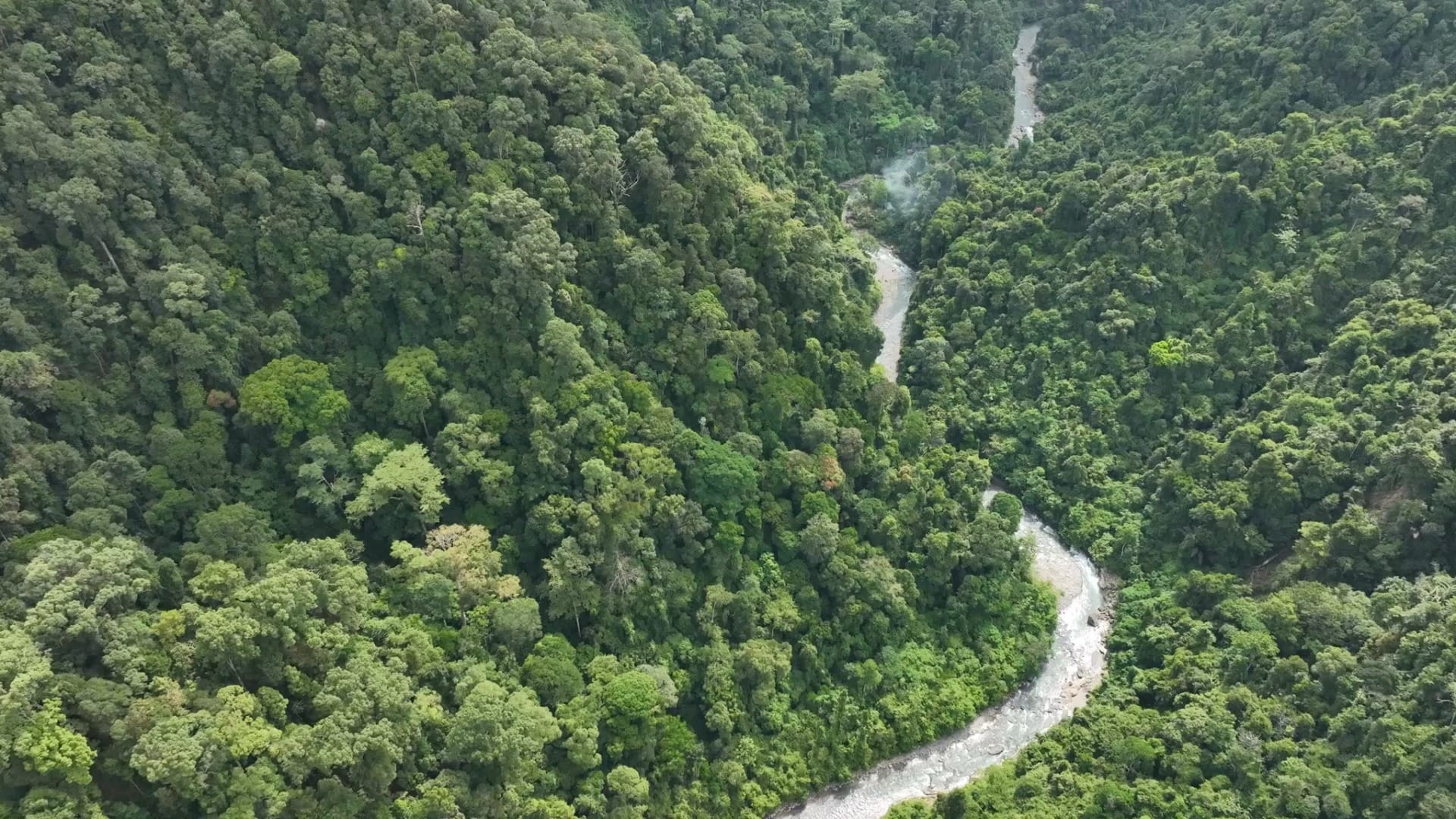 Climate Change Charities