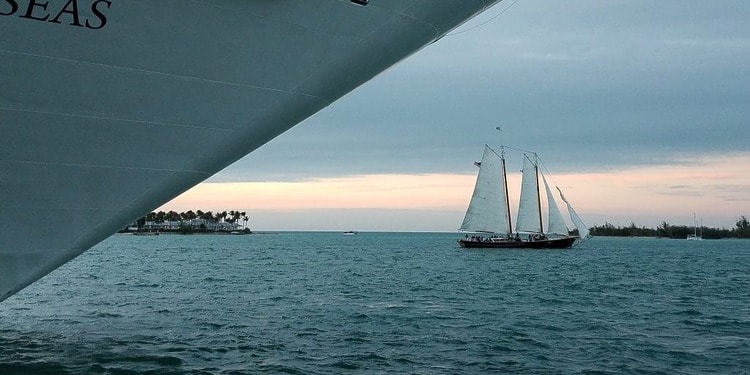 Who Owns the Ocean’s Genetic Wealth?