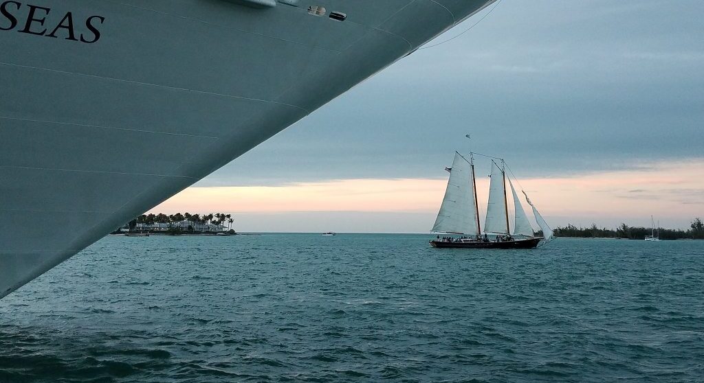 Who Owns the Ocean’s Genetic Wealth?