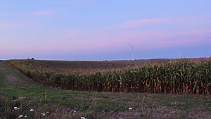 Inpasa ramps up exports of dried distillers' grains to China