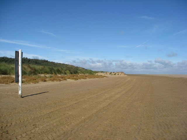 Reusing discarded Christmas trees to protect coastline
