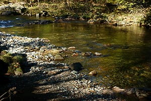 The race to find source of carcinogenic Pfas in Cumbria and Lancashire waters