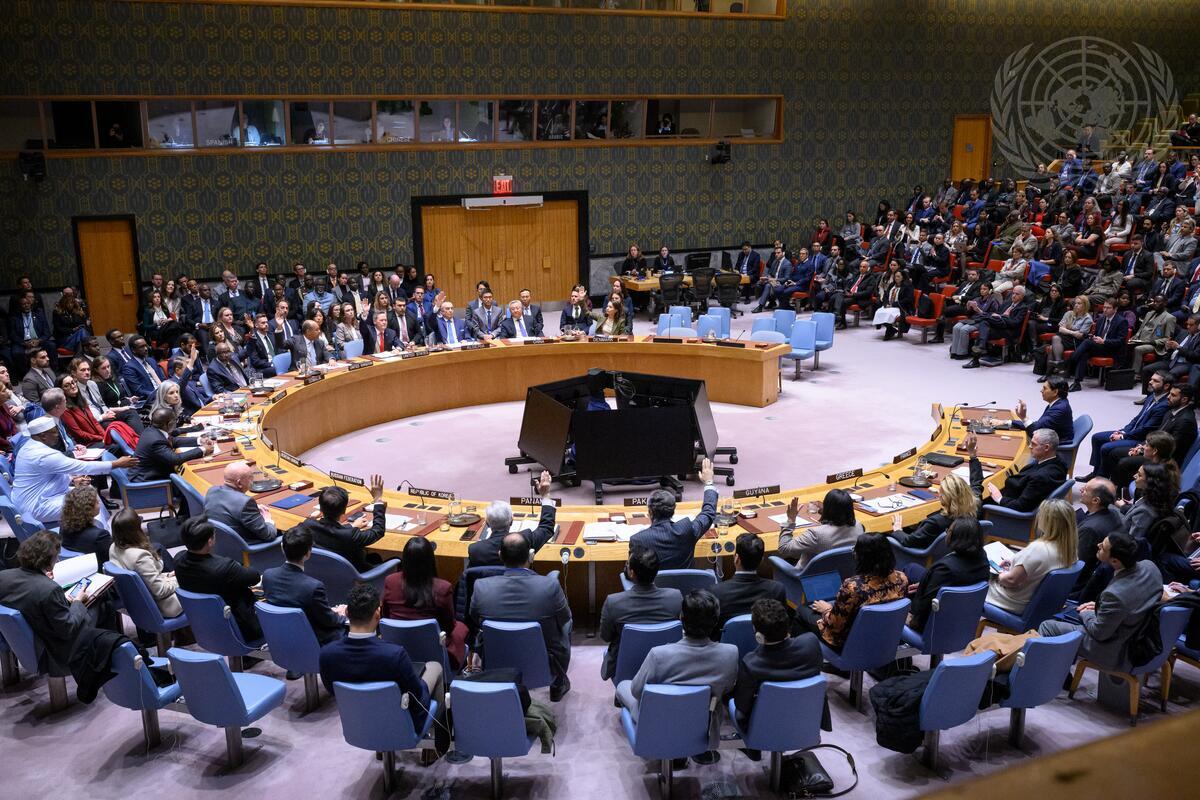 UN Security Countil adopts resolution 2803