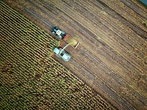 ESG News regarding Trump criticizing Newsom over UK green energy agreement, new analysis questioning the climate benefits of AI, EU greenlighting €1.04 billion Danish programme to reduce farm emissions and restore wetlands, and Santos winning court case over alleged misleading net-zero claims.