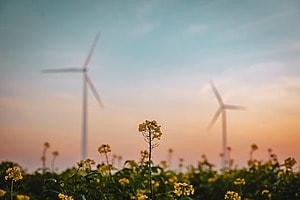 Protests arise against Wall street’s oil deals, Big tech accounts for half of global clean energy, EU proposes stricter standards for corporate vehicles, DHL introduces new portfolio offerings for reducing scope 3 impacts