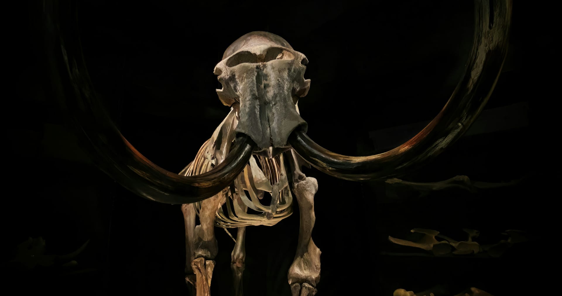 De-Extinction: Can Science Really Bring Species Back to Life?