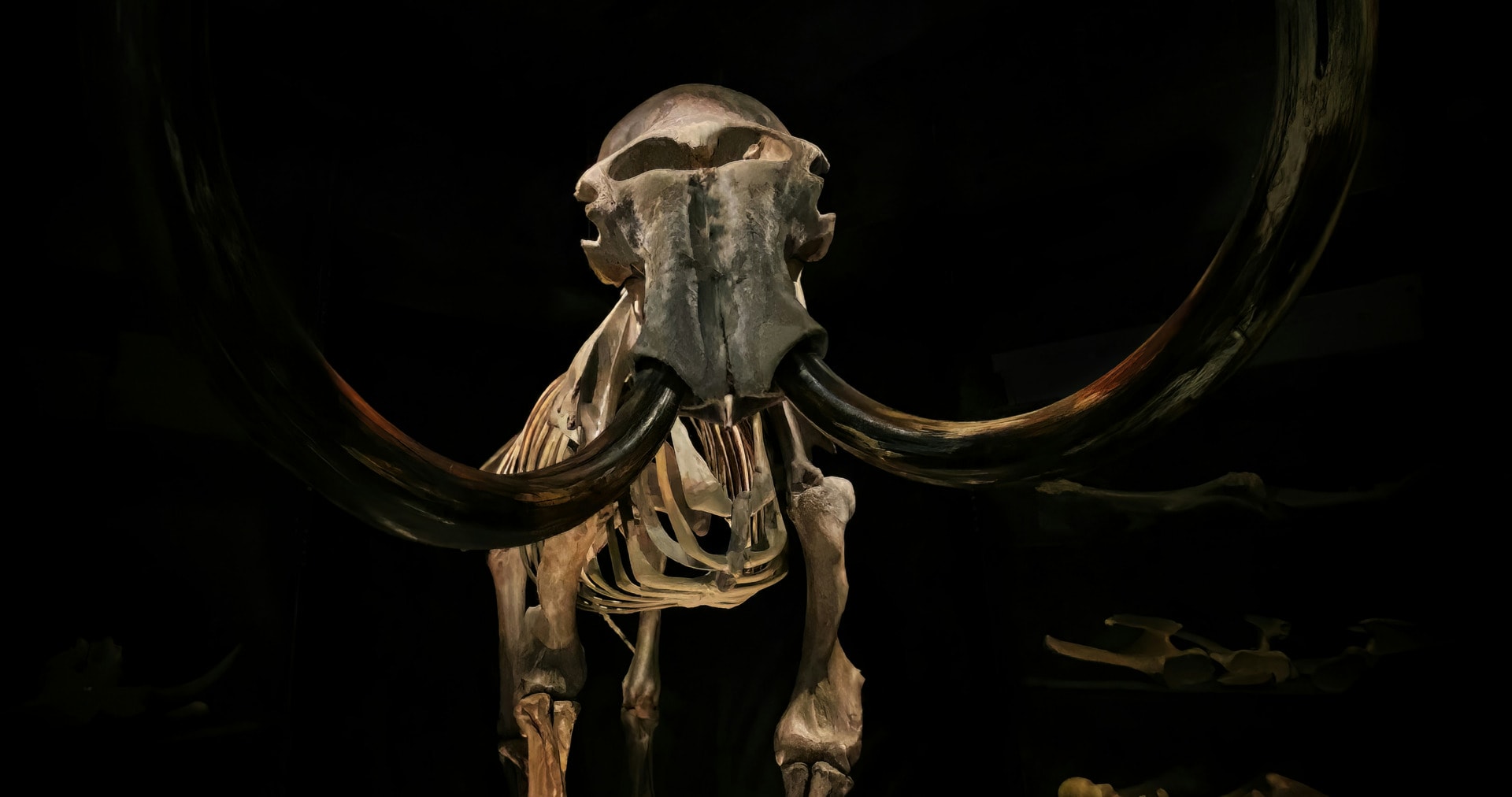 De-Extinction: Can Science Really Bring Species Back to Life?