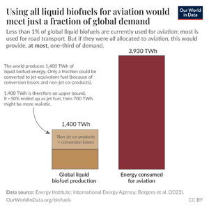 current global demand for sustainable aviation fuels vs biofuels supply
